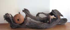 Neptune's Guitar