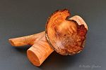 woodturning by Robbie Graham