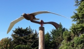 kinetic albatross sculpture by Robbie Graham