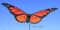 Kinetic monarch Butterfly by Robbie and Sue Graham
