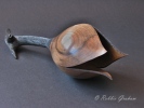 Kohuhu 4 by woodturner Robbie Graham