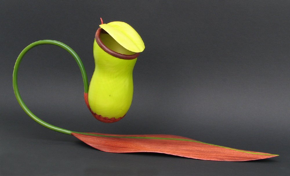 woodturning by Robbie Graham