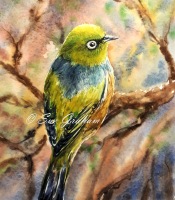 Watercolour by Sue Graham